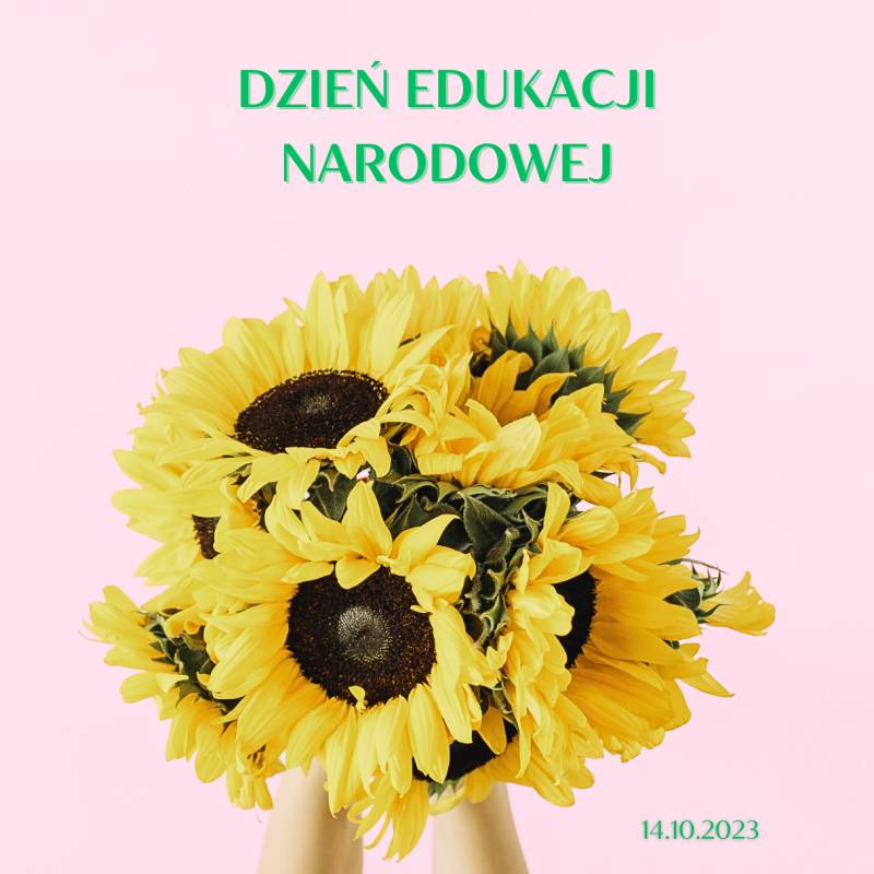 bukiet słoneczników na dzień edukacji narodowej